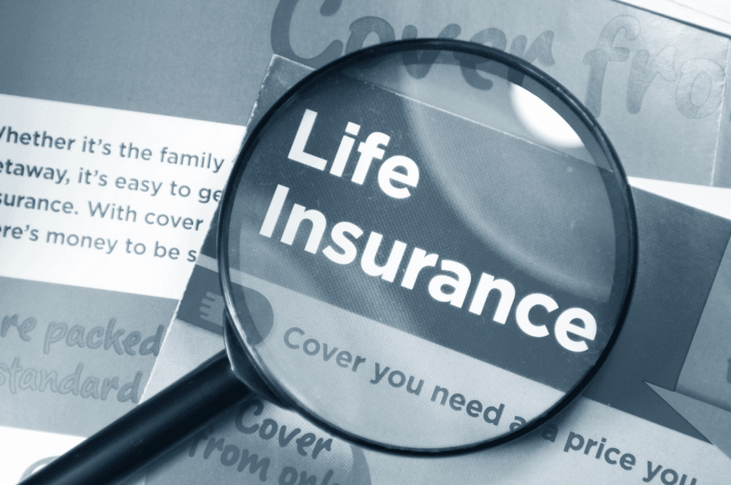 What is Variable Life Insurance?